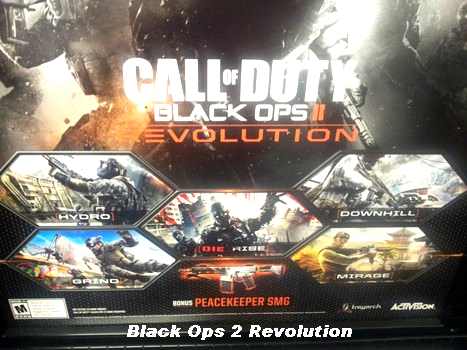 Black Ops 2 Revolution
