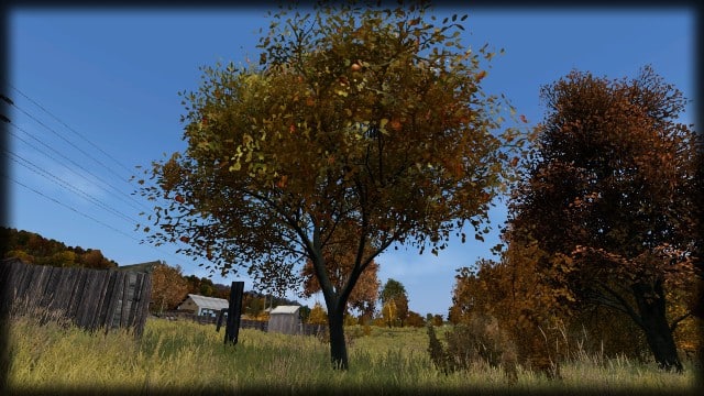 Surviving in DayZ: Essential Tips for Finding Food and Water 6 DayZ Fruit Tree