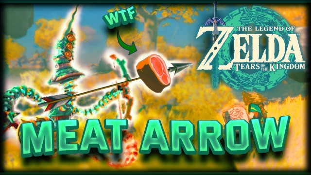 Zelda Tears Of The Kingdom Meat Arrows