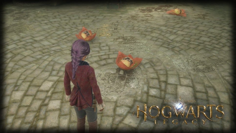Hogwarts Legacy: 7 Battle Arena Tips to Outmatch Your Opponents 9 hogwarts legacy cabbage 1
