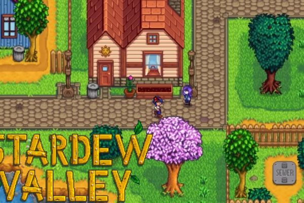 Stardew Valley gameplay in town