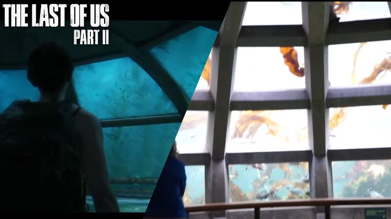 The Last of Us Part II, Top 7 Best Real-life Locations (Aquarium)