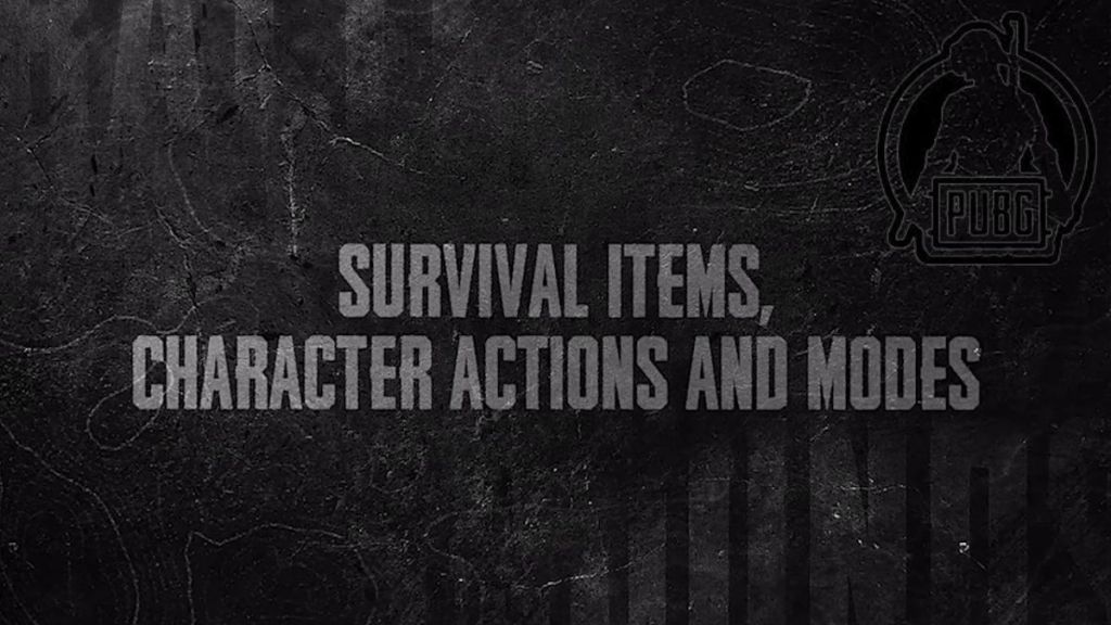 PUBG Survival items and Dynamic Character Actions