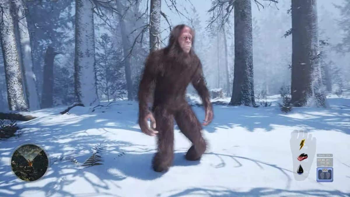 Bigfoot Life - in the forest during a blizzard