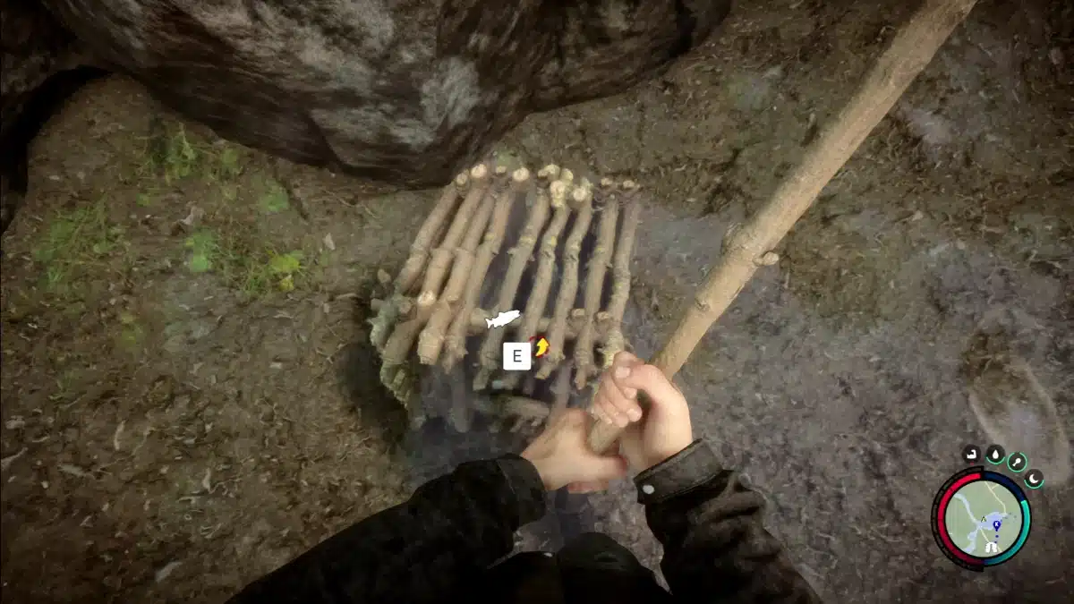 Fish Trap containing fish in a stream in Sons of the Forest.