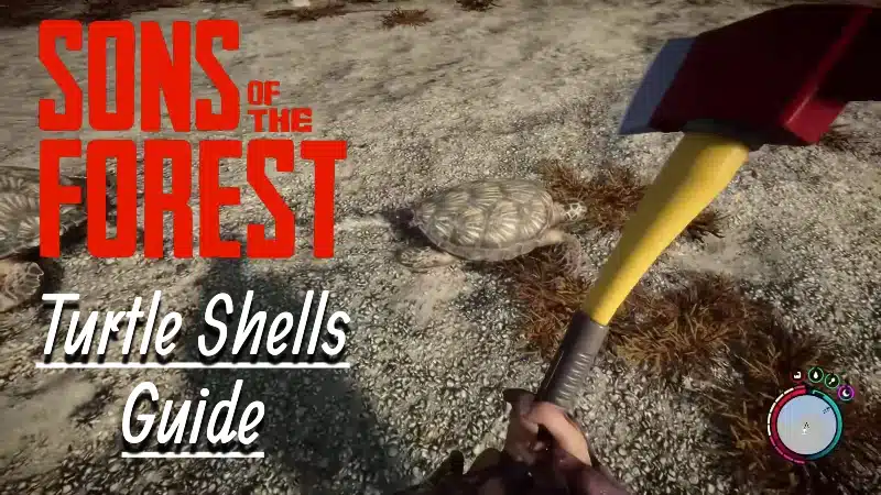 Sons of the Forest: How To Get Turtle Shells and Craft Rain Catchers