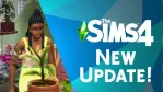The Sims 4 Base Game Update Adds Glass Walls and Rooftop Gardens for Free