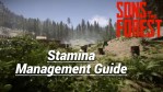 Best Ways to Regain Stamina in Sons of The Forest