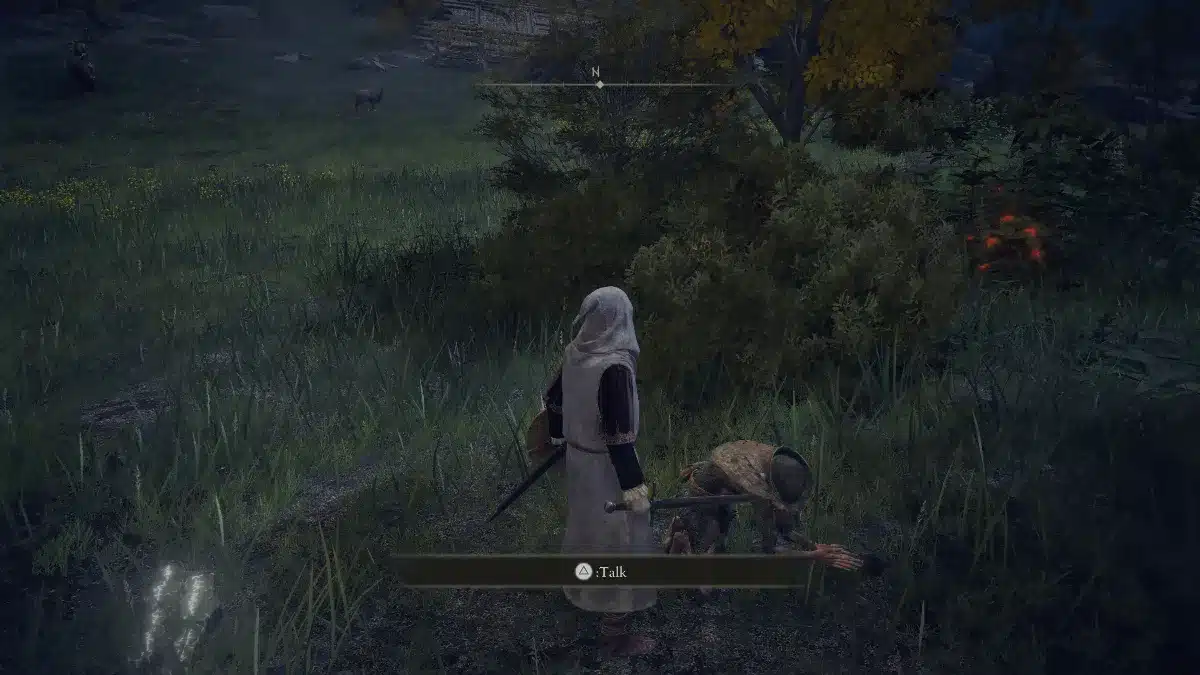 A player character in a hooded cloak stands over a crouching, injured enemy with a sword in the grass, a "Talk" prompt displayed on screen.