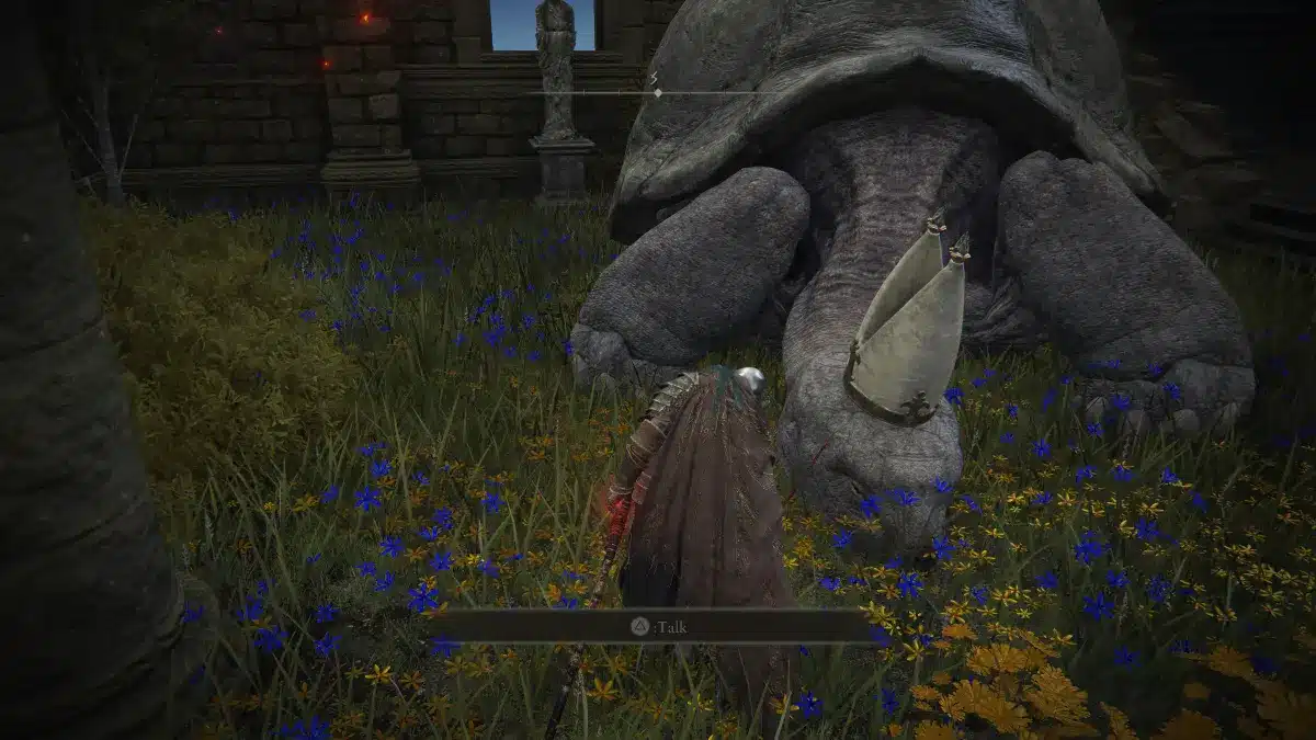 A character in dark armor with a brown cape faces away from the camera, standing in a field of yellow and blue wildflowers. The character is positioned in front of the massive, gray, wrinkled leg and foot of a giant tortoise. The tortoise has a large, segmented shell and a white, decorative cloth wrapped around its leg just above its foot. In the background, weathered stone ruins with an arched entrance are visible. A faint text box at the bottom of the screen reads ": Talk".